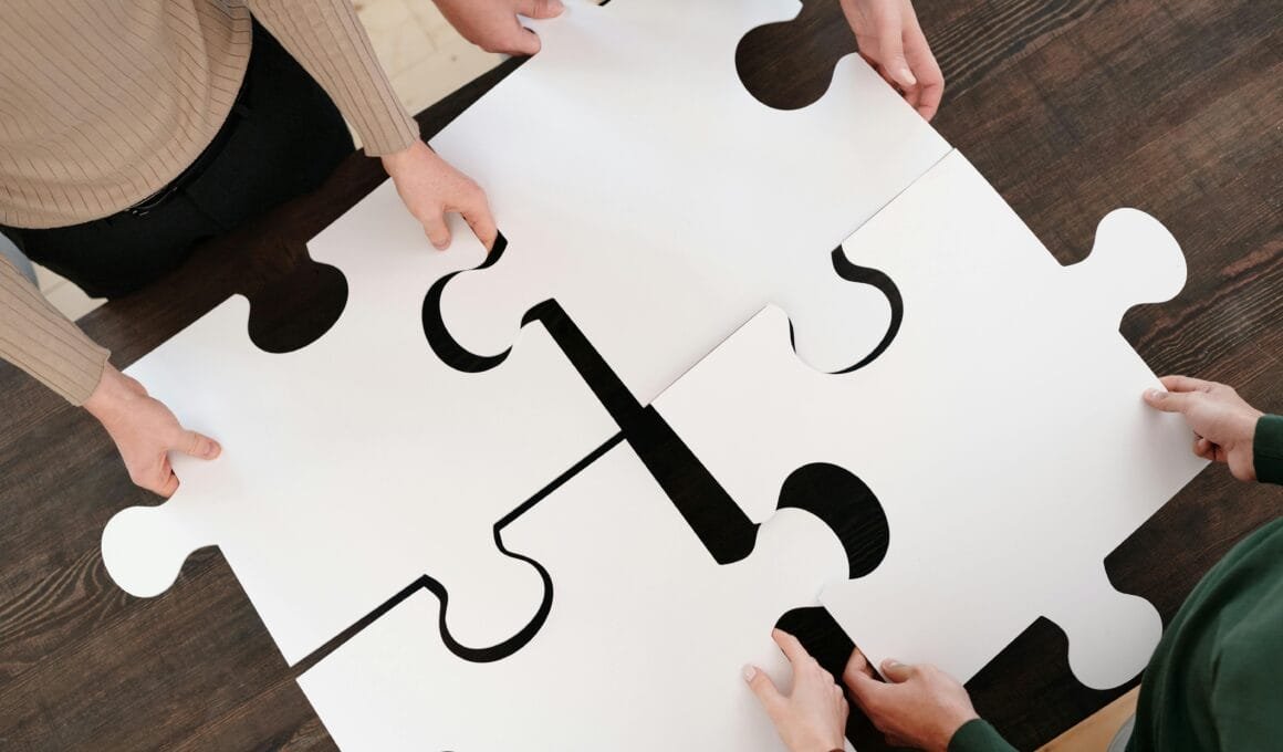 project, 2025, problems,